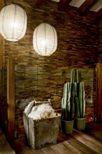 Megeve chalet apartment holiday home plants lamps