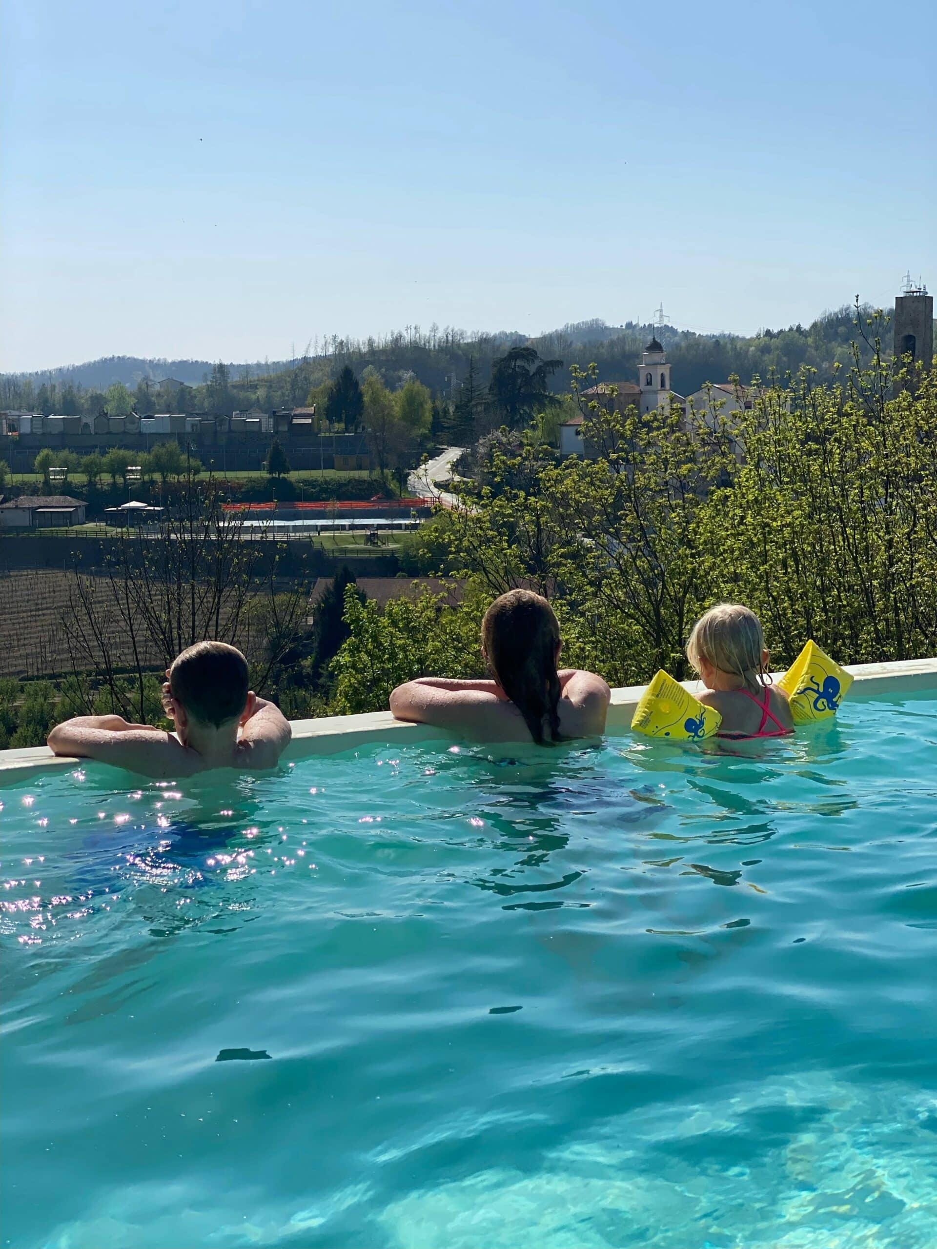 Piedmont holiday home pool landscape